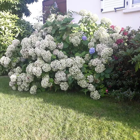Les Hortensias 3* Andolsheim